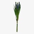 Kunst-Blumenbund Hyazinthe lila