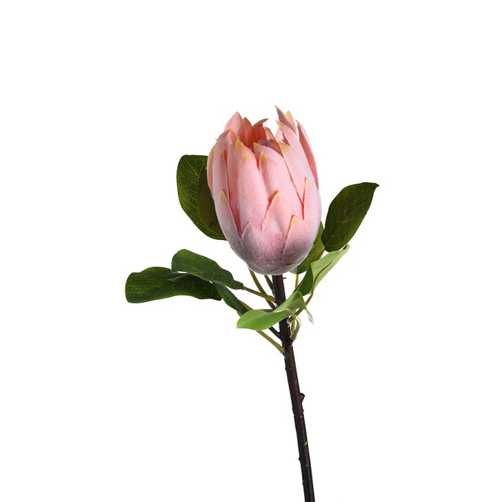 Kunstblume Protea | online DEPOT kaufen