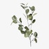 Branche d'eucalyptus artificielle vert menthe