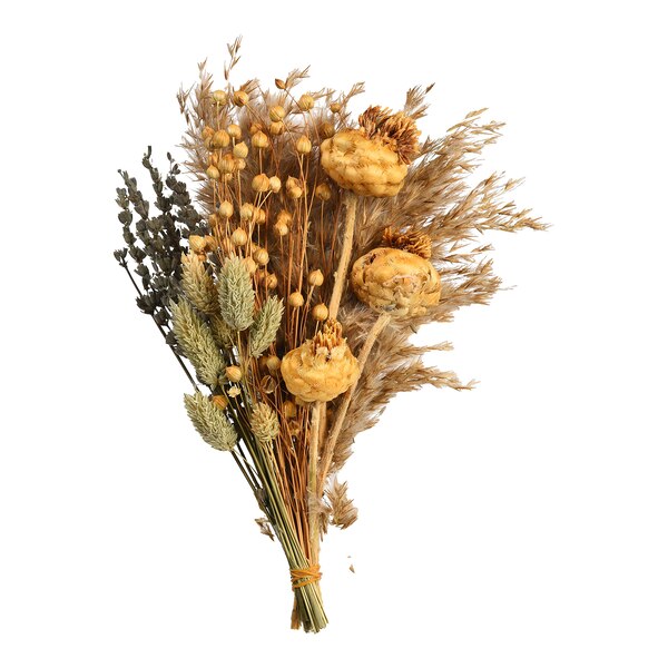 Trockenblumenstrauß Dried Flowers, bunt