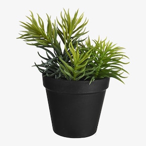 Plante artificielle Succulente en pot