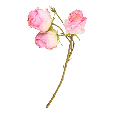 Kunst-Stielblume Dried Rose