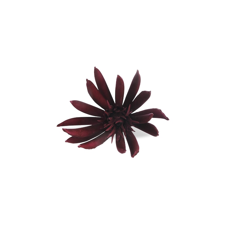 Kunst-Kaktusblüte auf Clip