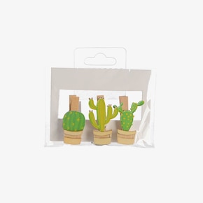 Klammern Kaktus, 3 Stück