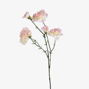 Umelý stonkový kvet karafiát