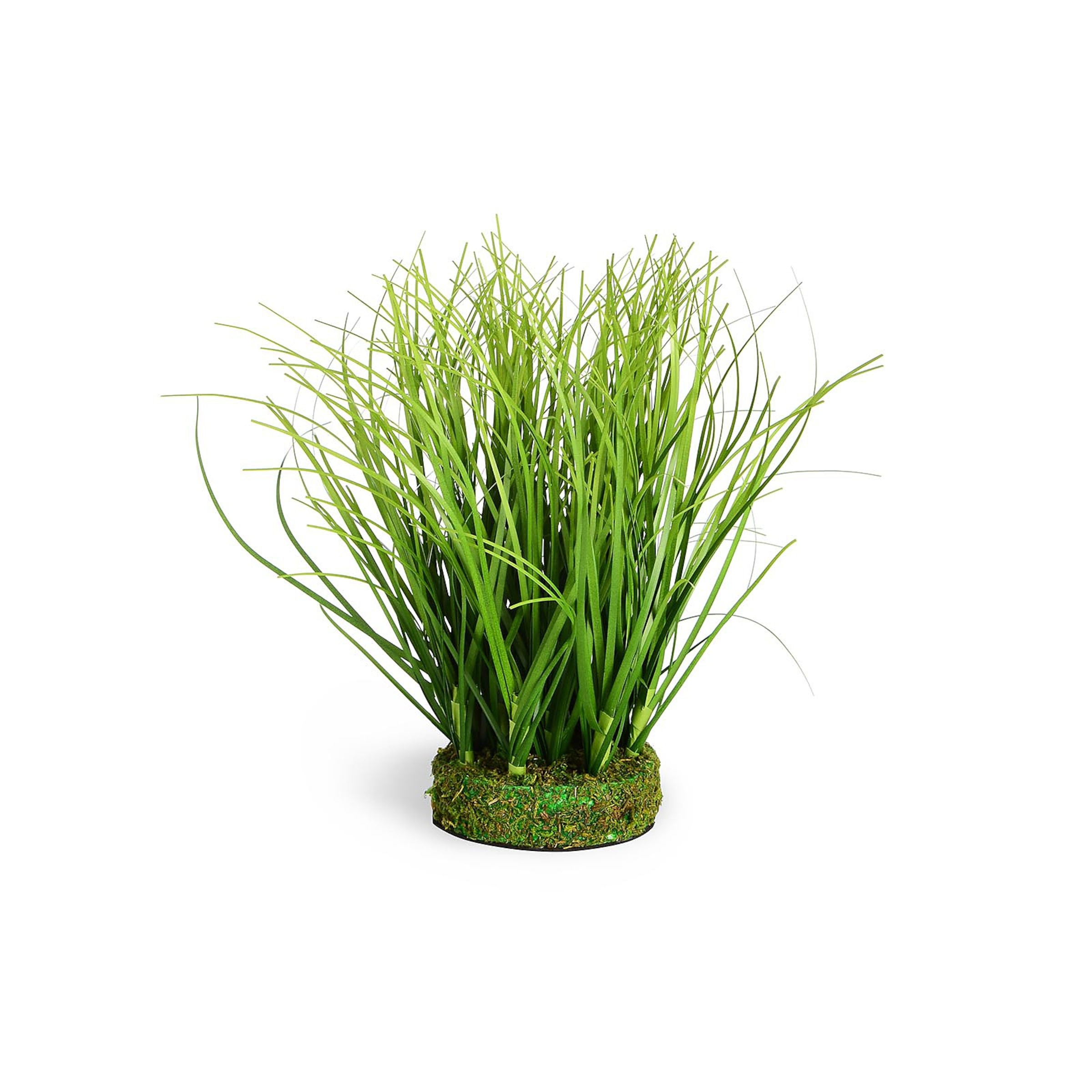 Grasbusch, L:19cm, grün günstig online kaufen