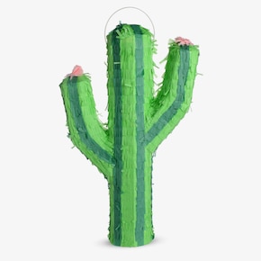 Pinata Kaktus