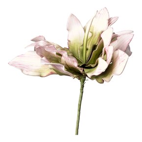 Kunstblume Softflower Protea