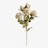 Umelecký stonok Kvetinová ruža krém