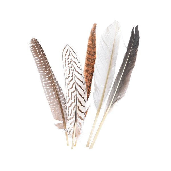 Mélange de plumes naturelles décoratives Tulum, naturel