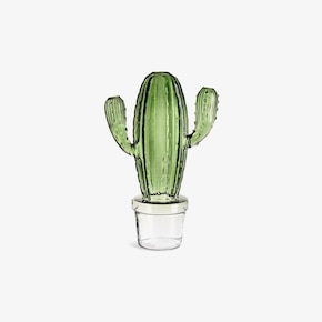 Vase Kaktus