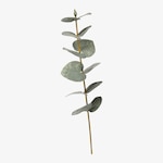 Kunst-Blumenpick Eukalyptus