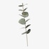 Kunst-Blumenpick Eukalyptus grün