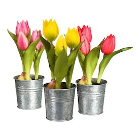 Kunstblumen-Set Tulpe im Zinktopf