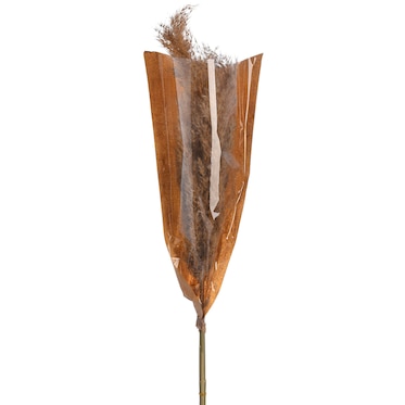 Sušený kvet Pampová tráva