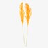Sušený kvet Pampová tráva horčicovo žltá