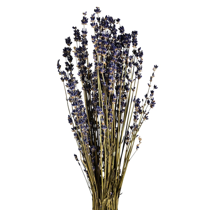 Trockenblumenbund Lavendel