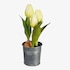 Kunstblume Tulpe im Zinktopf weiß