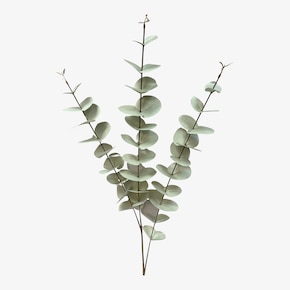 Branche artistique scintillante Eucalyptus