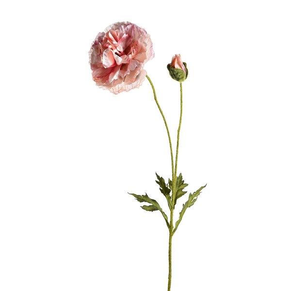 Umenie Stonka Kvetina Mak, ružová