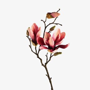 Branche artificielle de magnolia