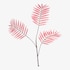 XL-Kunstblatt Palm Leaf pink
