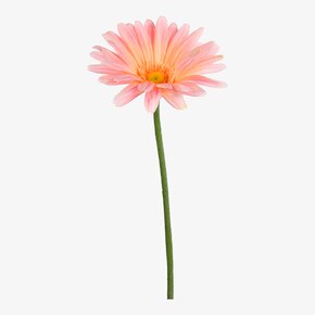 Kunstblume Gerbera