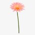 Kunstblume Gerbera lachs