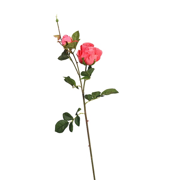 Stielblume Rose, pink