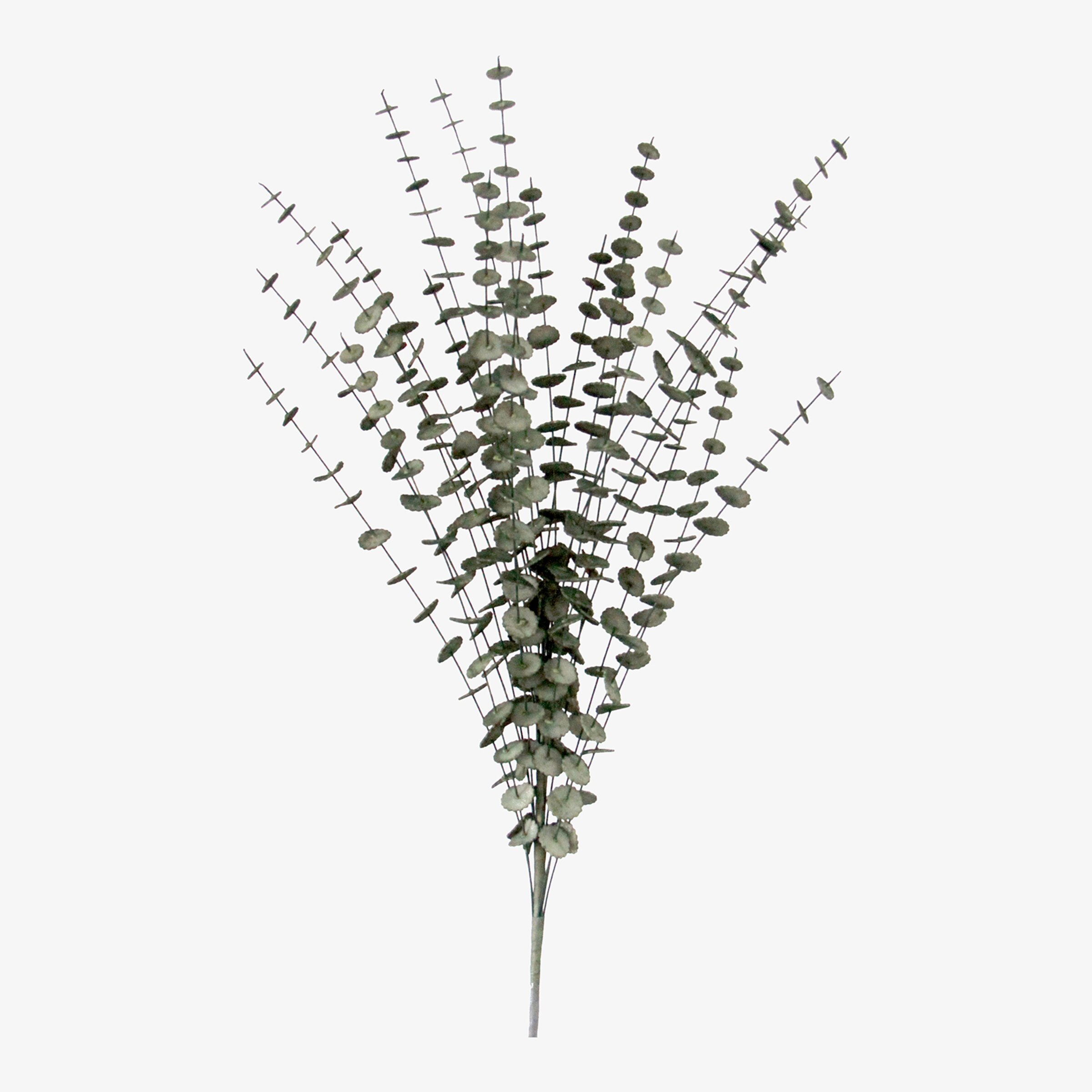 Branche artistique Softflower Eucalyptus