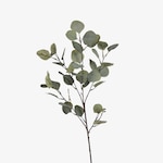 Kunstzweig Eukalyptus
