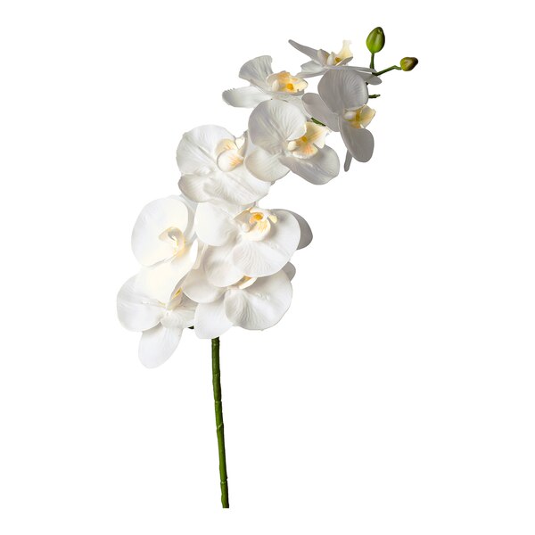 Kunst-Stielblume Orchidee, weiß