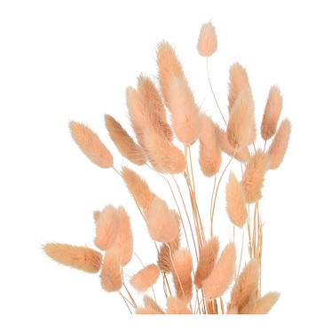 Trockenblumen-Bündel Samtgras