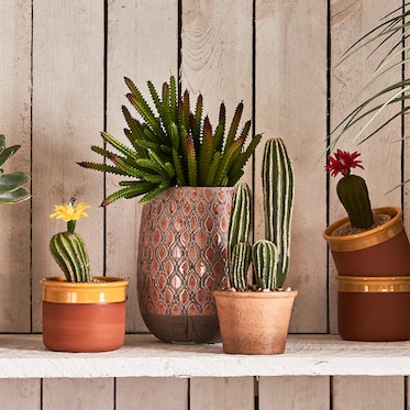 Cactus artificiel avec fleur dans un pot