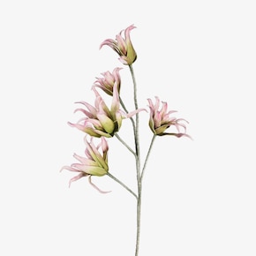 Fleur de tige artificielle Softflower Exotica