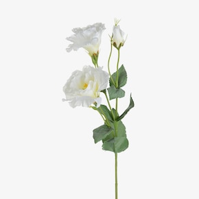 Umelý stonkový kvet Lisianthus