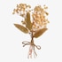 Mini-Trockenblumenstrauß Dried Flowers natur