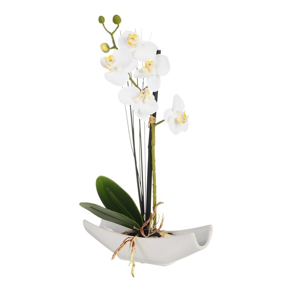 Kunstblume Orchidee Phalaenopsis in Schale, weiß