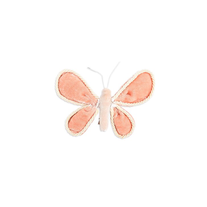 Samt-Schmetterling auf Clip