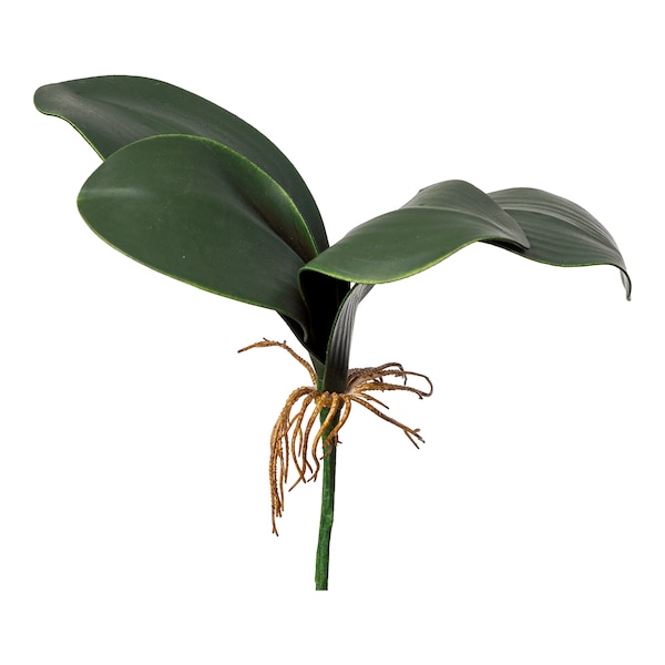 Kunstblume Orchideenblätter, grün