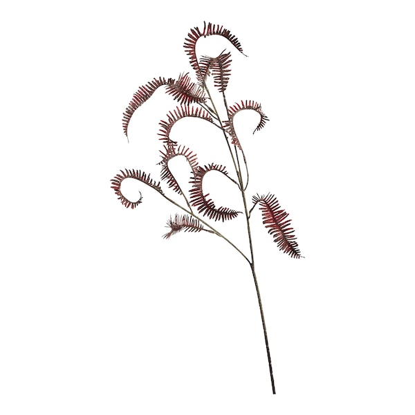 Fleur de tige artificielle Fougère d'autruche, bordeaux