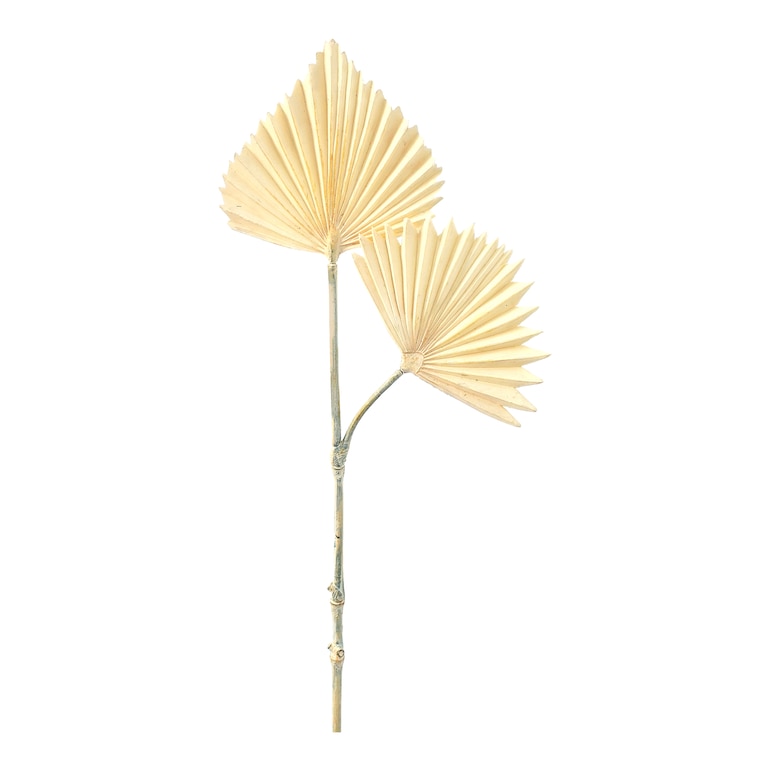 Kunstblatt Palm Leaf