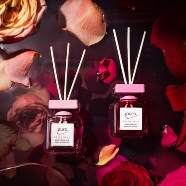 ESSENTIALS Raumduft-Set Intense Rose & Dark Rose