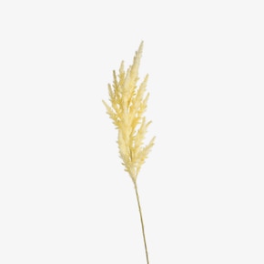 Fleur de tige artificielle herbe de la pampa