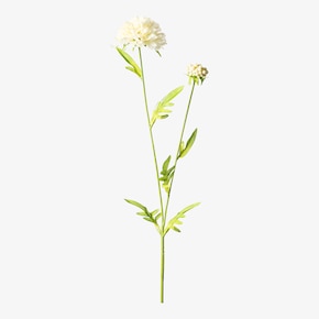 Fleur artificielle Scabiosa