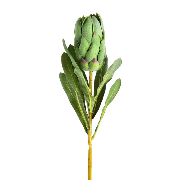 Kunstmatige stam bloem Protea, groen
