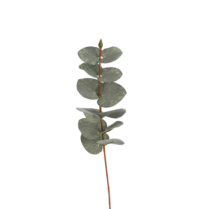 Blumenpick EUKALYPTUS ca.27cm