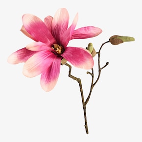 Branche artificielle de magnolia
