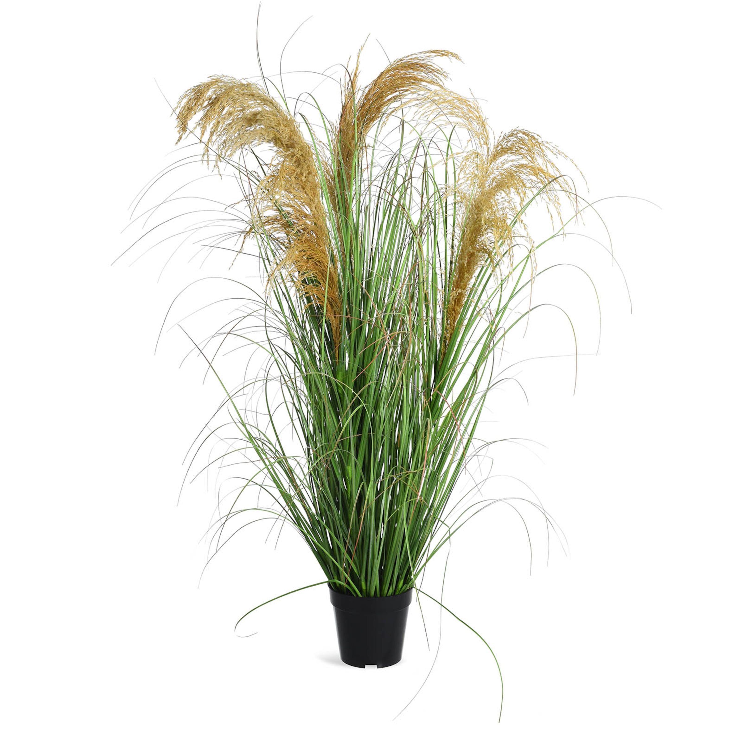 1902 55 cm Pampasgras Pampas Gras künstlich Kunstpflanze Dekogras Topfpflanze 