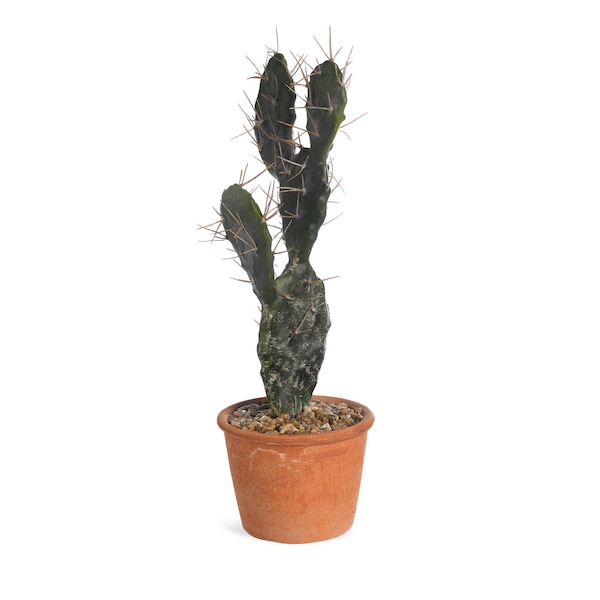 Kunstpflanze Kaktus im Topf, grün